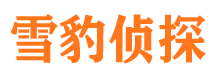 万载市私家侦探